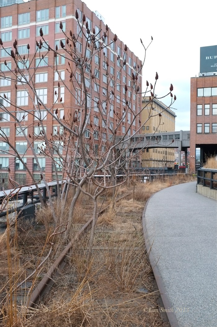 High Line ©Kim Smith 2013. copy