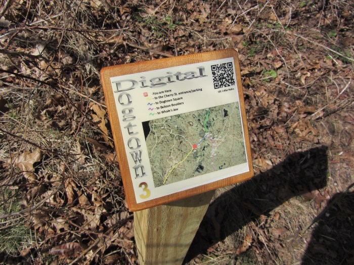 digital dogtown, gloucester