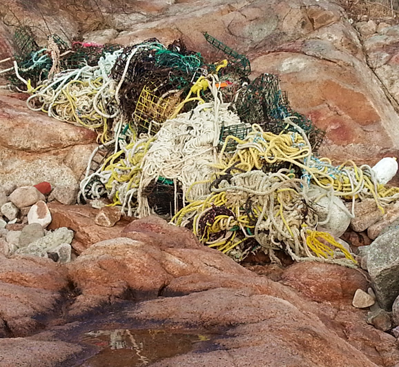 Mangles Lobster Traps