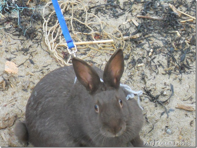 March 24, 2013 Rockport 119