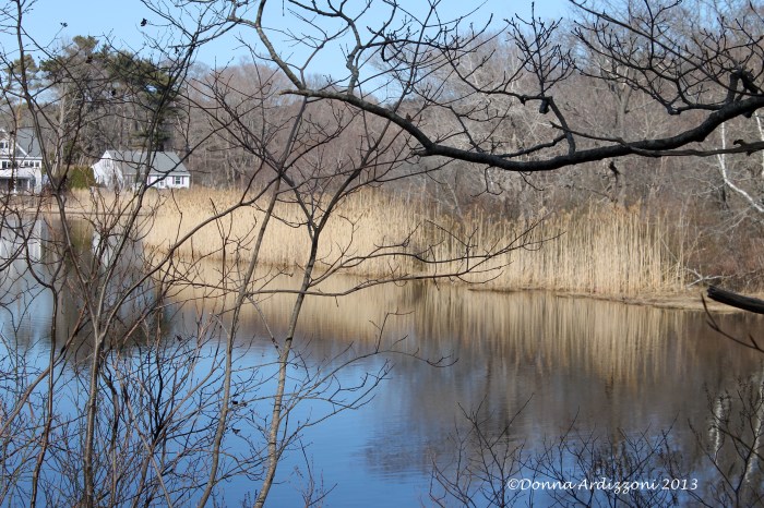 Clark Pond early spring