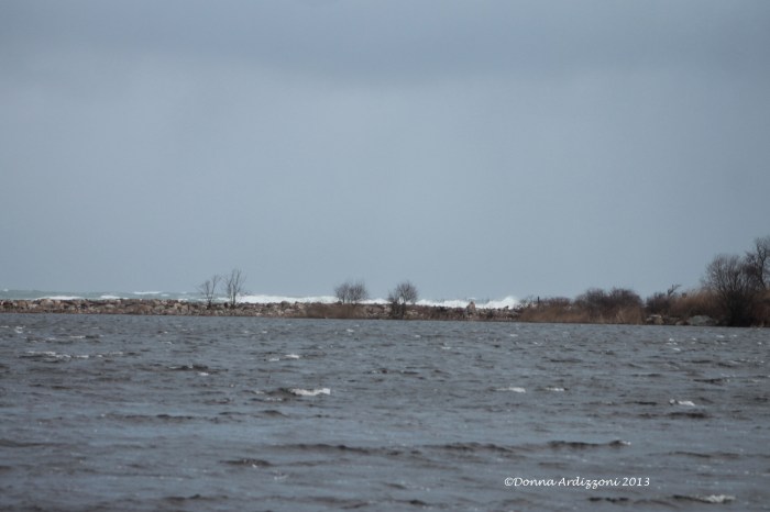March 6, 2013 Nile Pond with Brace Cove crashing