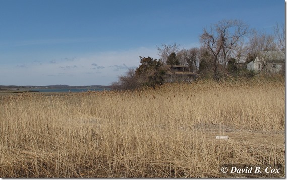 2013April Essex Conomo & Cogswell Grant 006