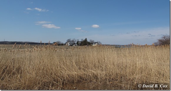 2013April Essex Conomo & Cogswell Grant 007