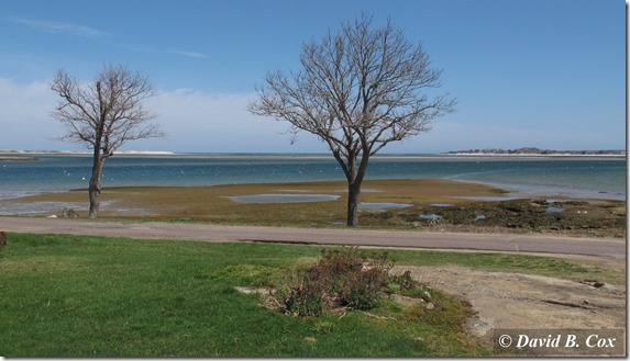 2013April Essex Conomo & Cogswell Grant 020