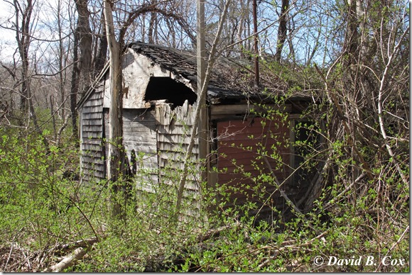 2013April Essex Conomo & Cogswell Grant 048