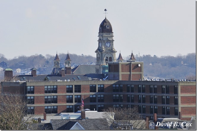 2013JAN WINDMILLS&MISC 006