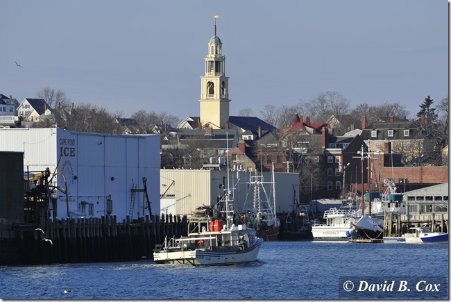 2013JAN WINDMILLS&MISC 027