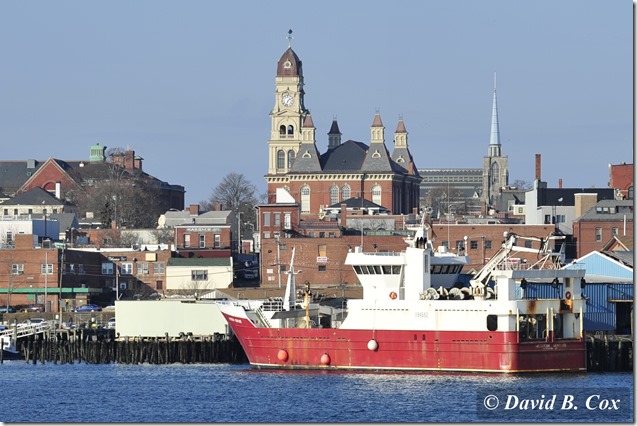 2013JAN WINDMILLS&MISC 047