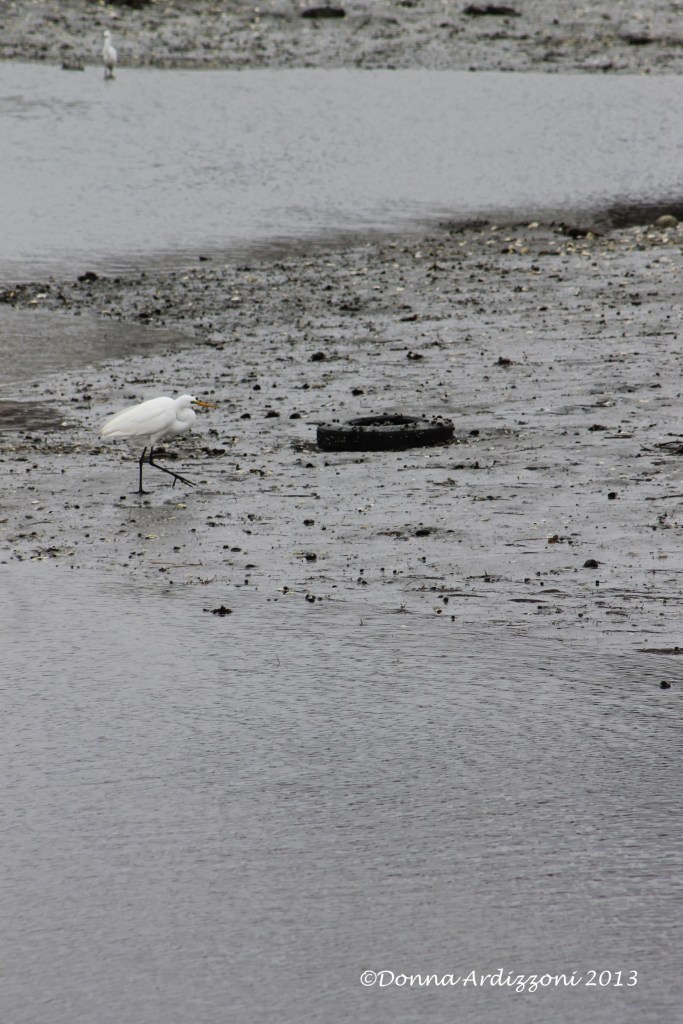 April 13, 2013 interesting walk