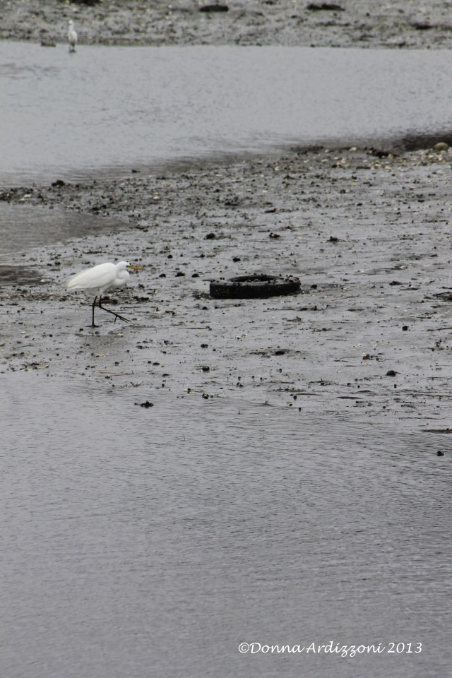 April 13, 2013 interesting walk