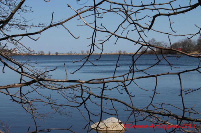 April 6, 2013  Nile Pond