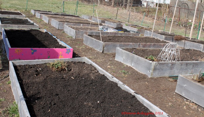 April 7, 2013 ready for planting