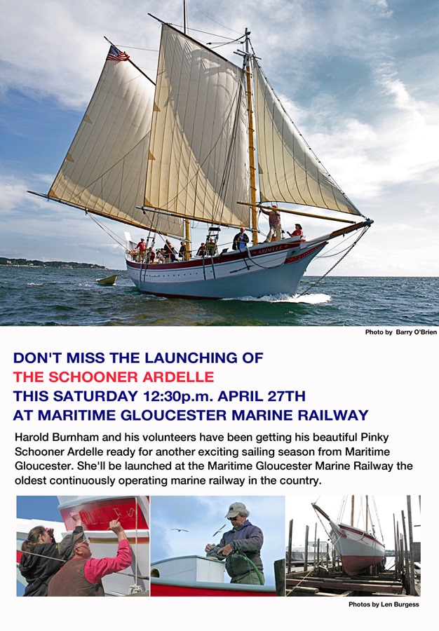 Ardelle-O'Brien4 copy2