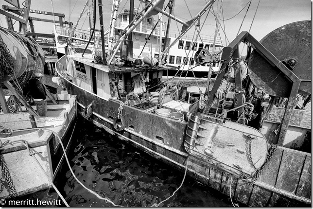 Capt. Novello. Rocky Neck