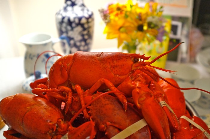 Captain Joe Lobsters