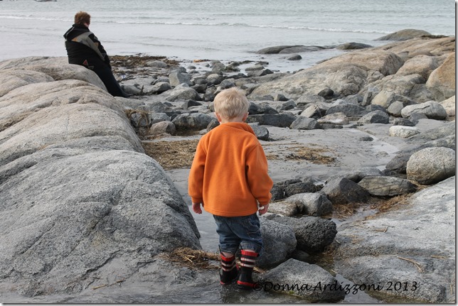 Exploring the beach Cole
