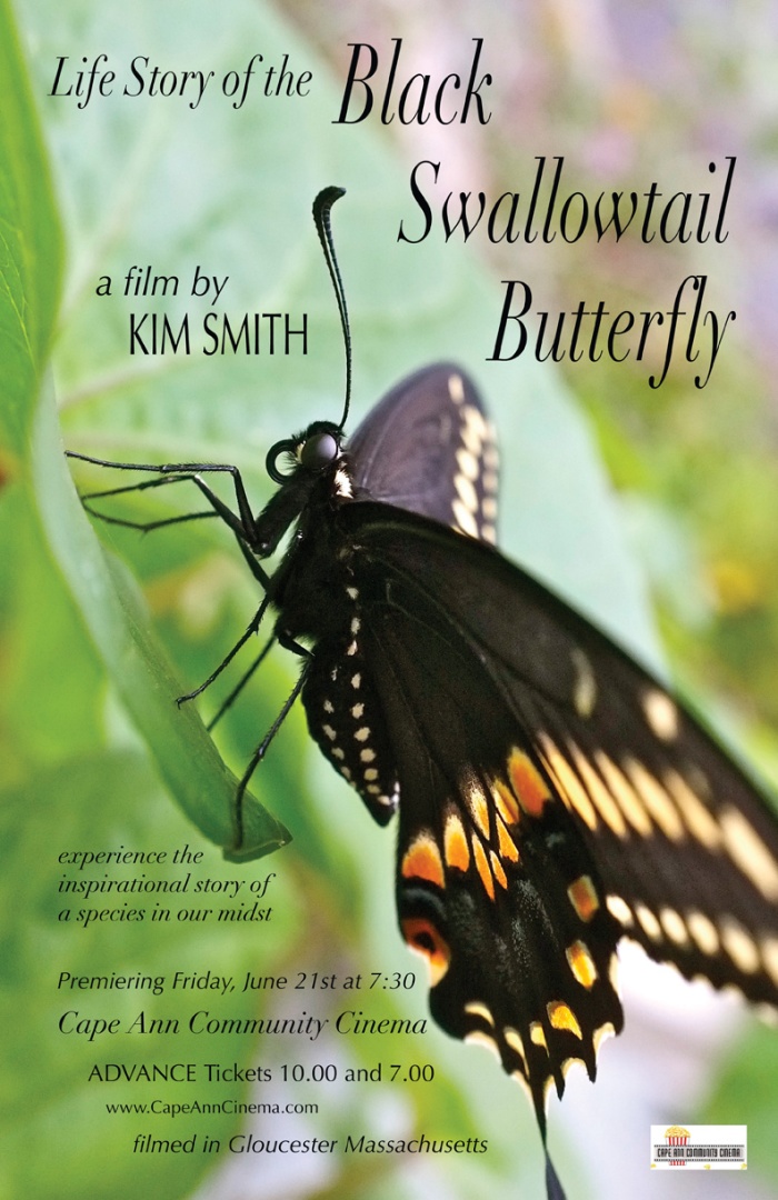 FINAL web  Life Story of the Black Swallowtail Movie poster CACC -1