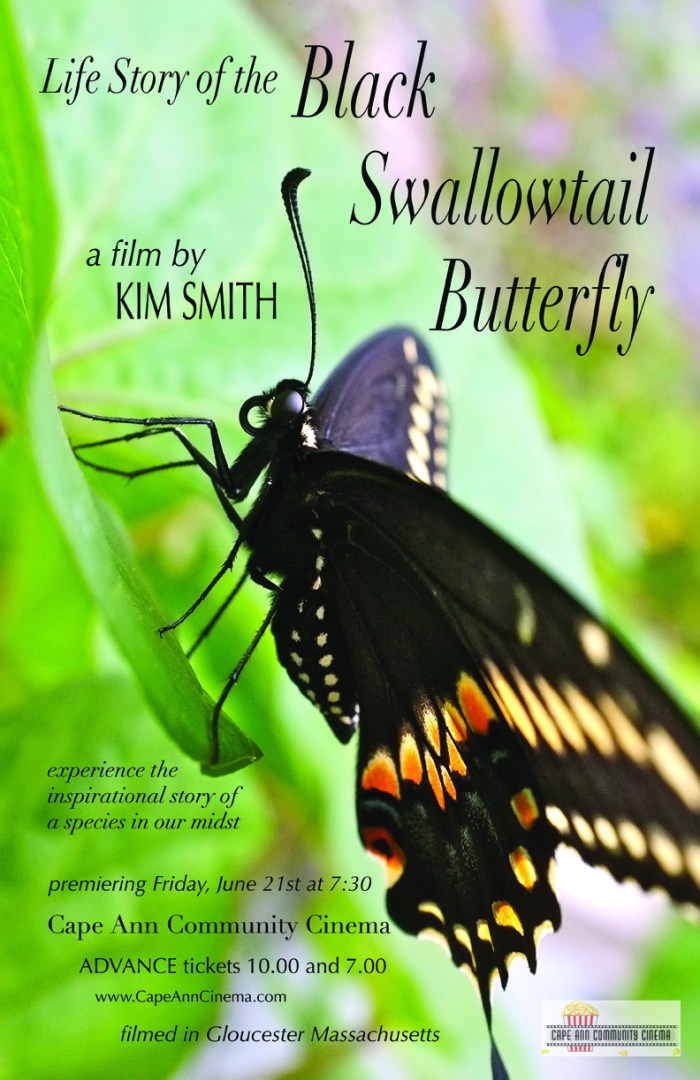 Life Story of the Black Swallowtail Movie poster