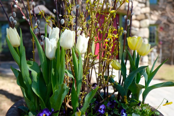 Willowdale Estate ©Kim Smith 2013