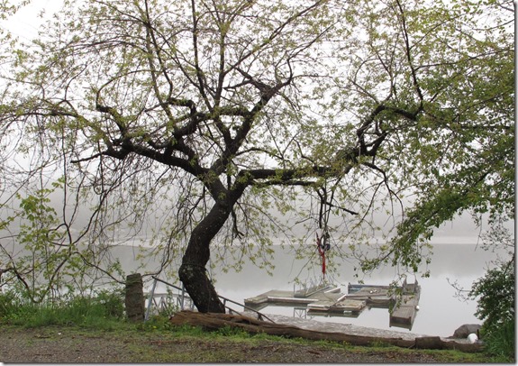 2013May Foggy day & Floral Cannon 004