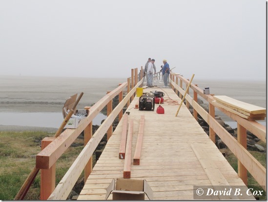 2013May Foggy day & Floral Cannon 026