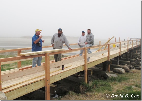 2013May Foggy day & Floral Cannon 057