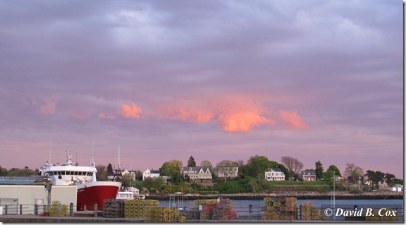 2013May Trees & Misc Cannon 003