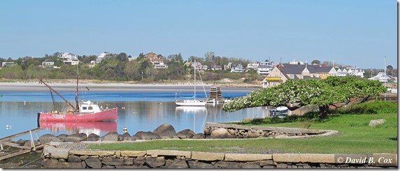 2013May Trees & Misc Cannon 004