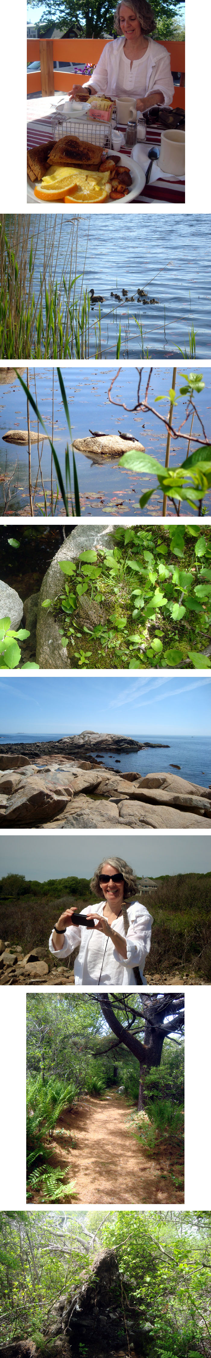 a morning with ann kennedy