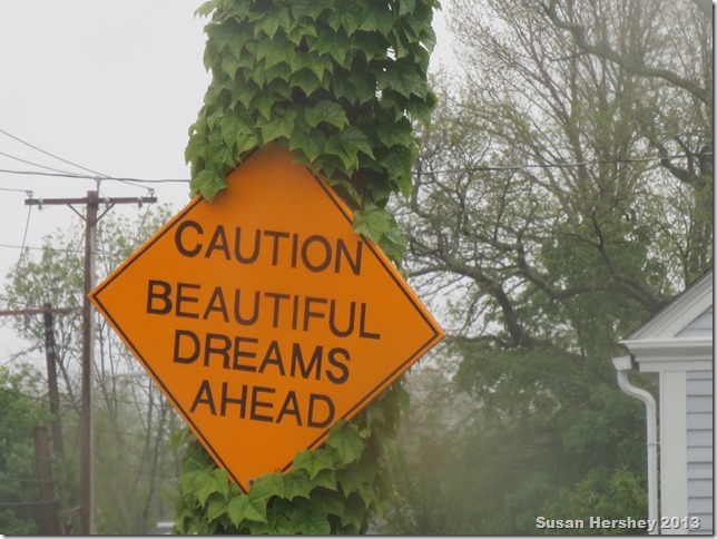 caution beautiful dreams ahead