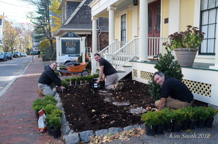 Mary prentiss Inn fall planting ©Kim Smith 2012
