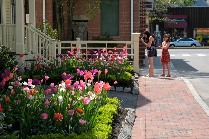 Mary Prentiss Inn spring tulips -1 ©Kim smith 2013