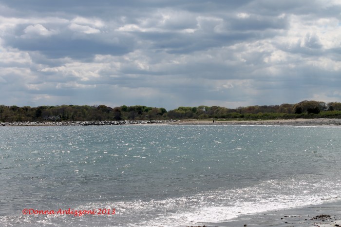 may 14, 2013 Brace Cove on a windy afternoon
