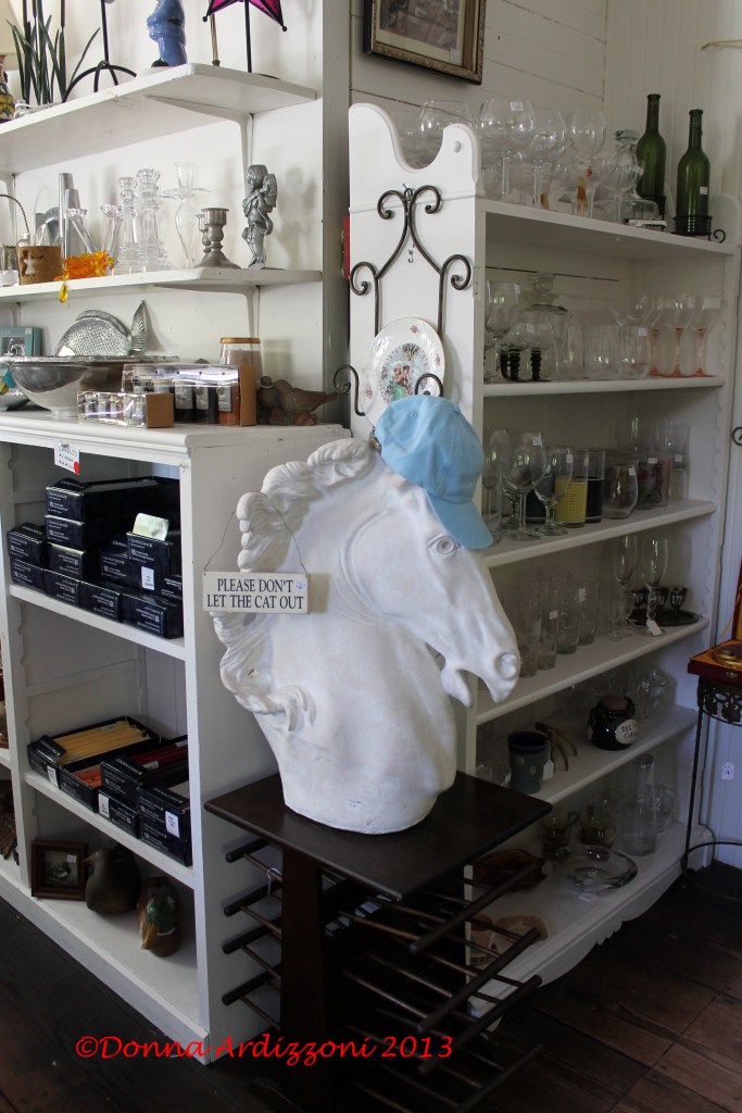 May 16, 2013 interesting horse