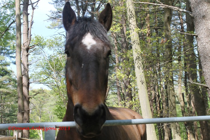 May 19, 2013 posing for the camera