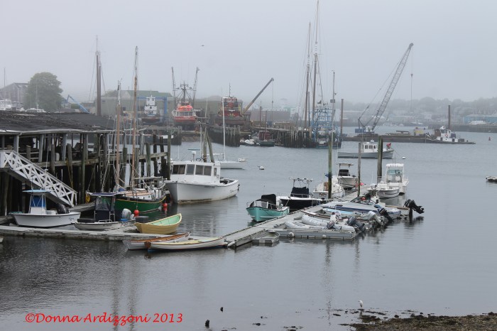May 20, 2013 foggy day on the Neck