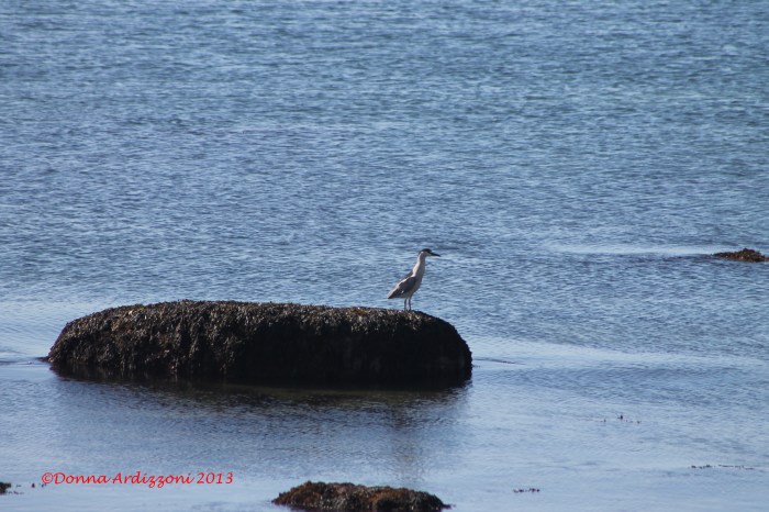 May 27, 2013 waiting for the Memorial Day Ceremony