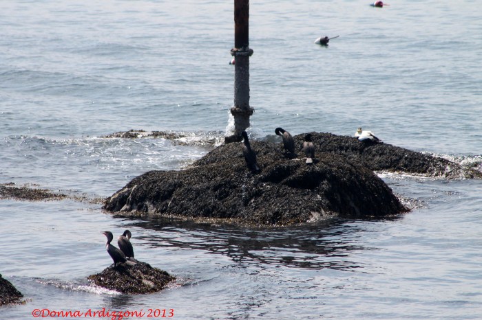 May 31, 2013 hanging out in at the Paint Factory