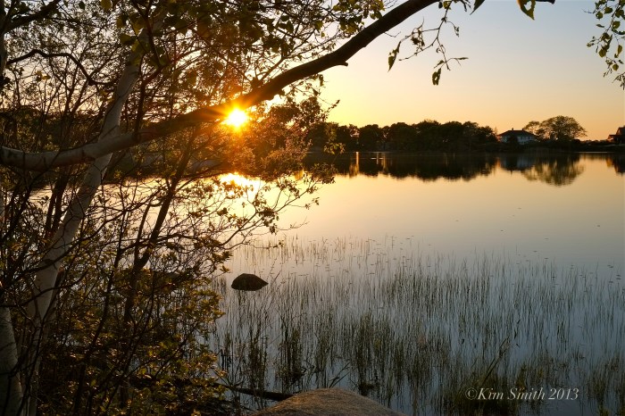 Niles Pond ©Kim Smith 2013