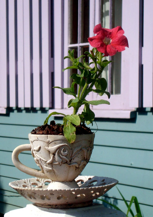 now thats my cuppa tea