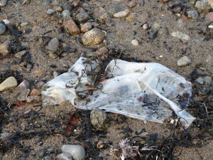 plastic-bag-300x225