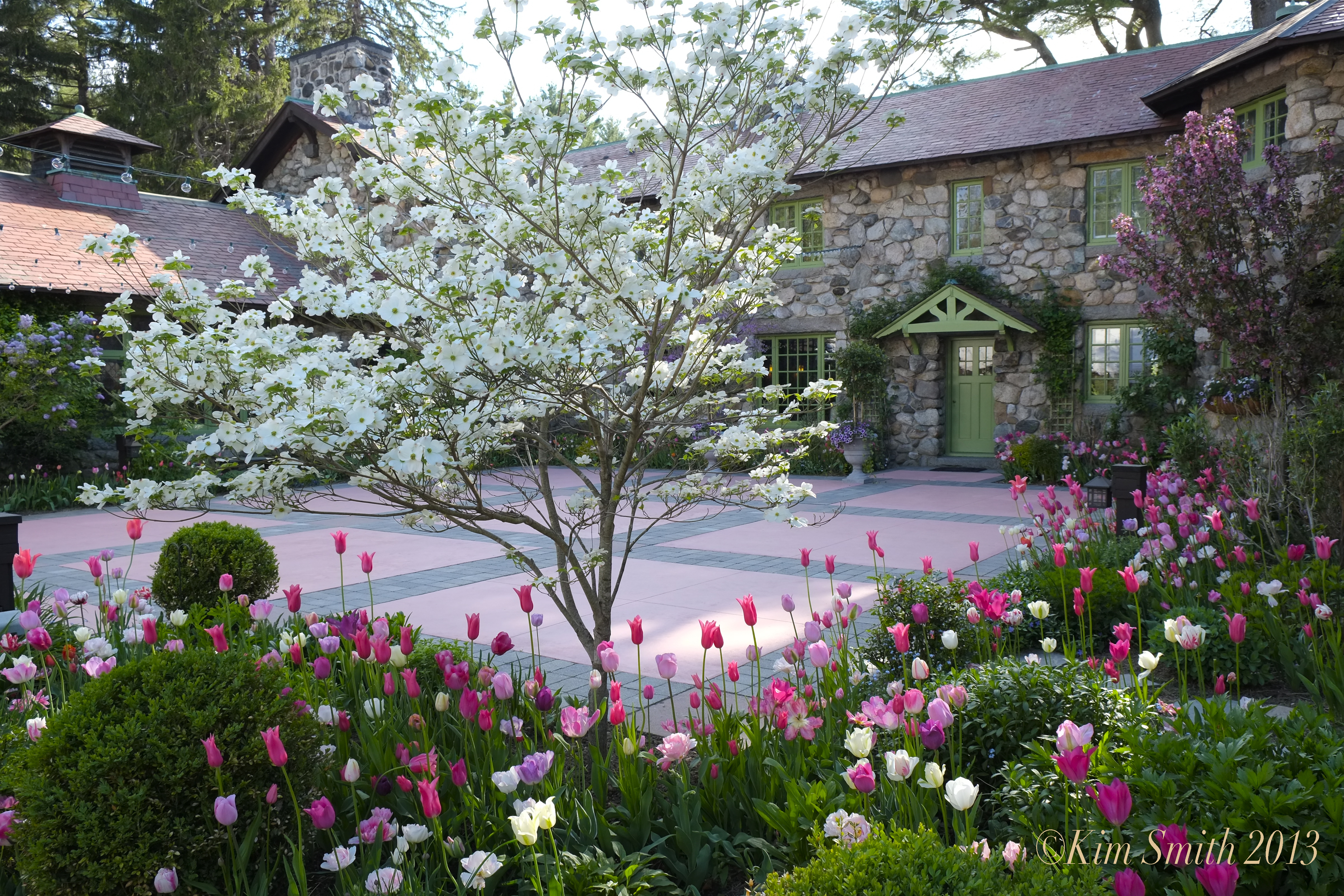 Willowdale Estate Artist Spolight Garden Kim Smith ©Kim Smith 2013- Dogwood