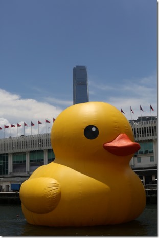 2013 06-07 HK Rubber Duckie at Lunchtime 023