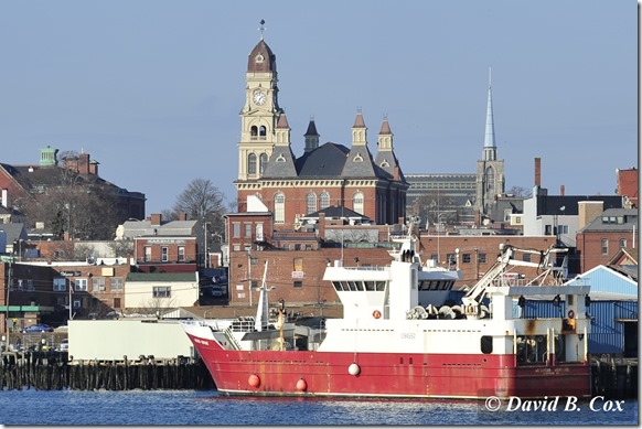 2013JAN WINDMILLS&MISC 047