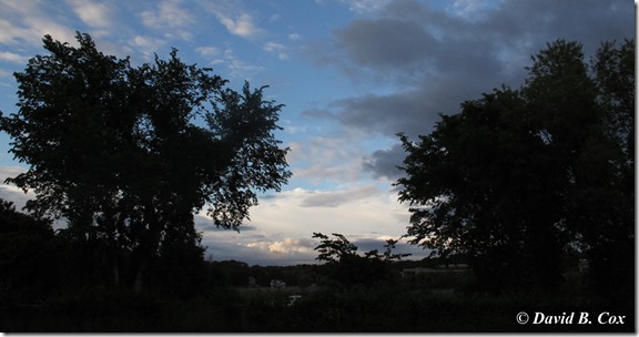 2013June Iris Sky Twin Lt 001