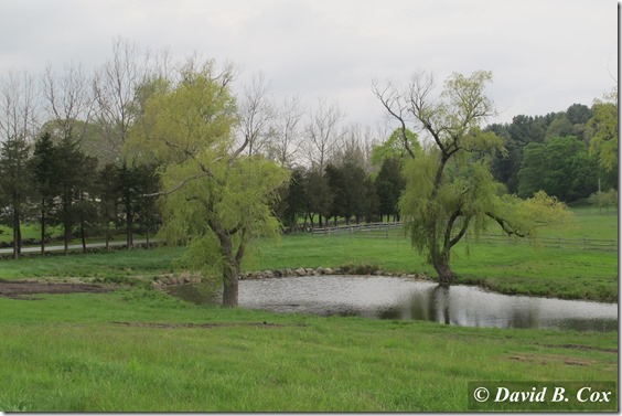 2013May Manchester&Essex Misc Cannon 062