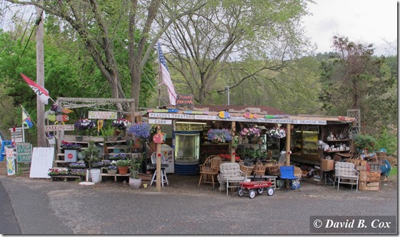 2013May Manchester&Essex Misc Cannon 072