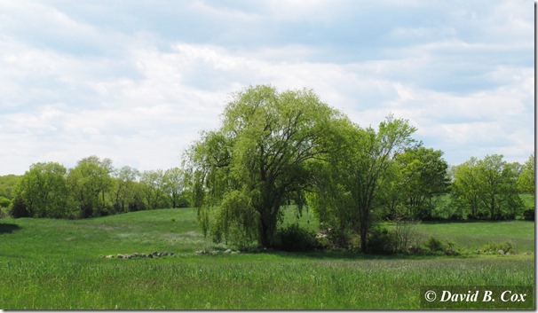 2013May Meanderings Cannon 018