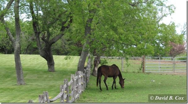 2013May Meanderings Cannon 026